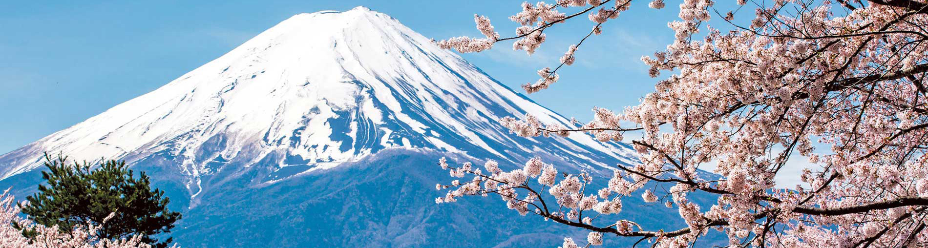 Most Popular Japan Tour Packages