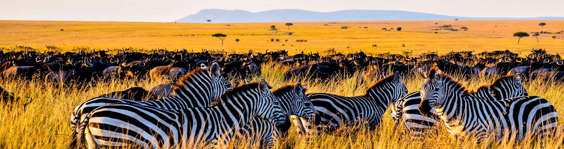 Tanzania Honeymoon Tour Package From India